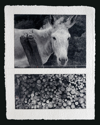 Un succès toujours grandissant, surtout en montagne